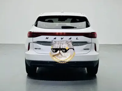 Haval H6 2021, 62000 км, за 58900 CNY - фото 15