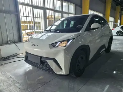 BYD Seagull · 2025 год