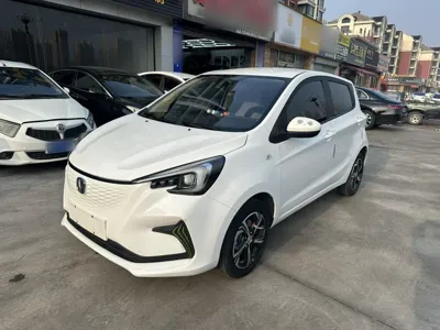 Changan Auchan Benben E-Star · 2020 год