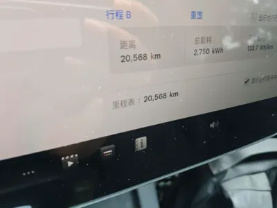 Tesla Model Y 2024, 20500 км, за 193803.31 CNY - фото 9