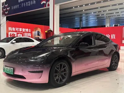 Tesla Model 3 · 2021 год