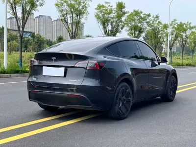 Tesla Model Y 2025, 27000 км, за 175799 CNY - фото 9