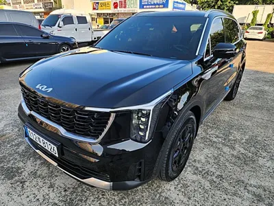 Kia Sorento 2026, 183 км, за 47900000 KRW - фото 20