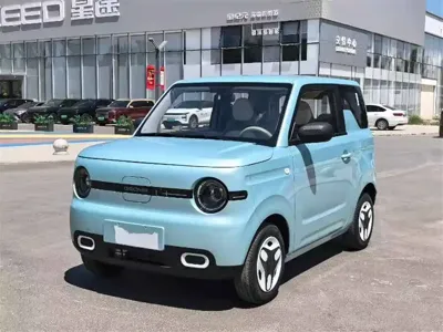 Galaxy Panda 2026, 1000 км, за 36800 CNY - фото 8
