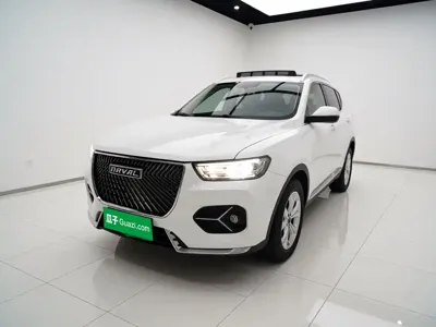 Haval H6 · 2021 год