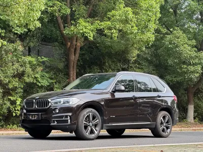 BMW X5 (Import) · 2018 год