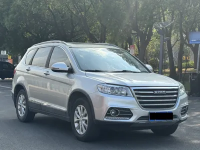 Haval H6 2021, 43600 км, за 41181.95 CNY - фото 25