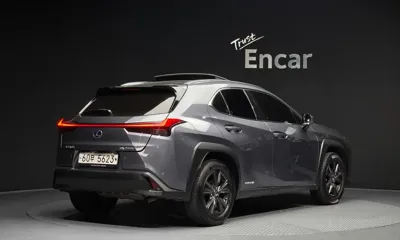 Lexus UX 2019, 73909 км, за 26490000 KRW