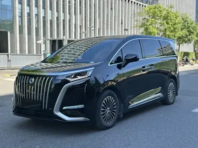 Denza Denza D9 · 2025 год