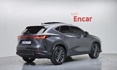 Lexus NX 2025, 37178 км, за 60500000 KRW