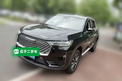 Haval H6 · 2021 год