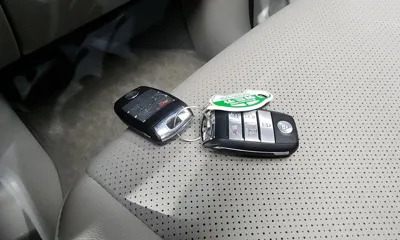 Kia Canival 2019, 73026 км, за 14800000 KRW - фото 16