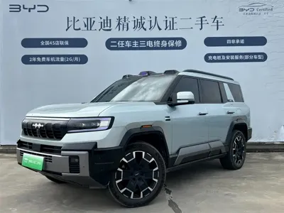 Fang Cheng Bao Leopard 8 · 2024 год