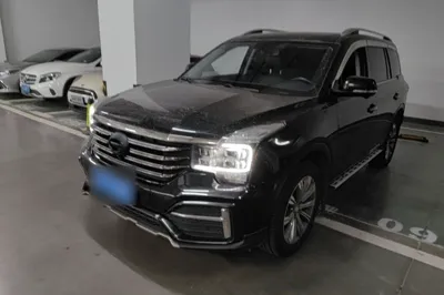 GAC Trumpchi GS8 · 2020 год