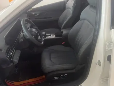 GAC Motor Shadow Leopard 2025, 20299 км, за 88100 CNY - фото 13