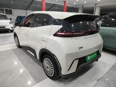 BYD Seagull 2024, 47900 км, за 56674.67 CNY