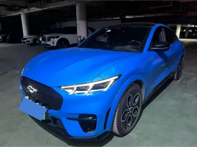 Ford Mustang Mach-E · 2022 год