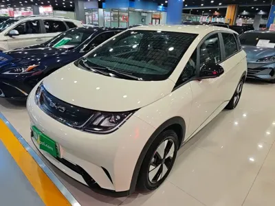 BYD Dolphin · 2023 год