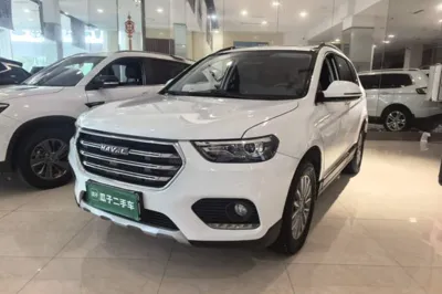 Haval H6 · 2019 год