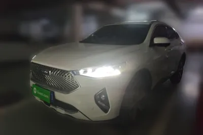 Haval F7x · 2021 год