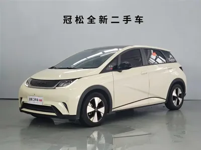 BYD Dolphin · 2023 год