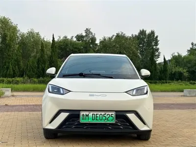 BYD Seagull 2024, 30000 км, за 46000 CNY - фото 2