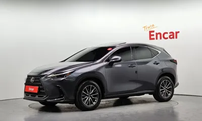 Lexus NX · 2022 год
