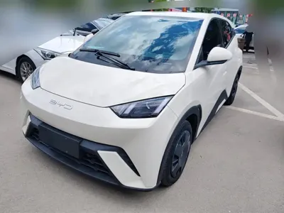 BYD Seagull · 2024 год