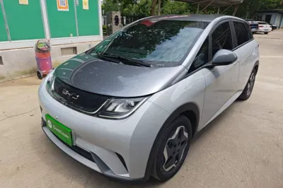 BYD Dolphin · 2021 год