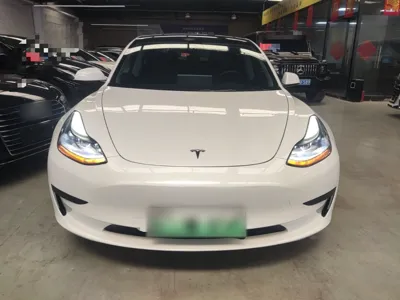 Tesla Model 3 2021, 117899 км, за 122519.8 CNY