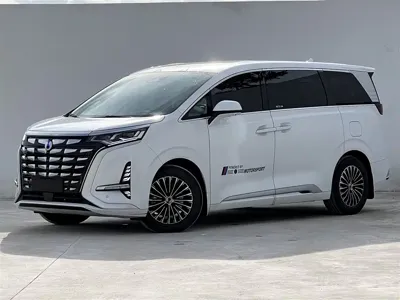 Denza Denza D9 · 2023 год