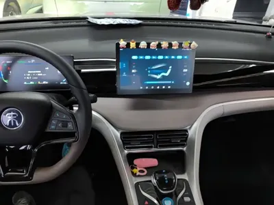 BYD Pro New Energy 2024, 24100 км, за 69000 CNY - фото 10
