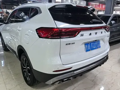 Haval H6 2023, 40000 км, за 59800 CNY - фото 4