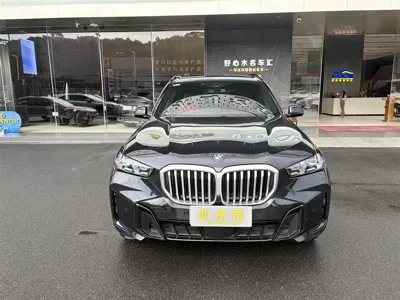BMW X5 · 2024 год
