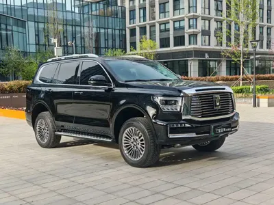 Tank Tank 500 New Energy · 2025 год