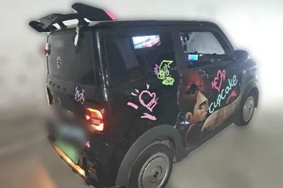Geely Galaxy Panda 2024, 18000 км, за 43077.82 CNY