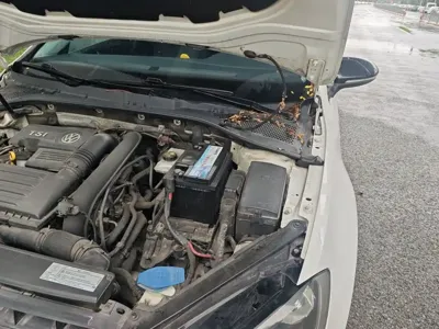 Volkswagen Golf 2017, 76200 км, за 51100 CNY - фото 22