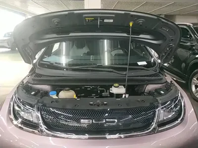 BYD Dolphin 2021, 87500 км, за 46800 CNY - фото 20