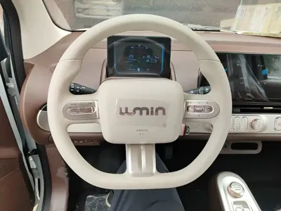Qiyuan Lumin 2026, 100 км, за 44400 CNY - фото 11