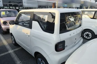 Geely Galaxy Panda 2024, 100 км, за 48360.75 CNY