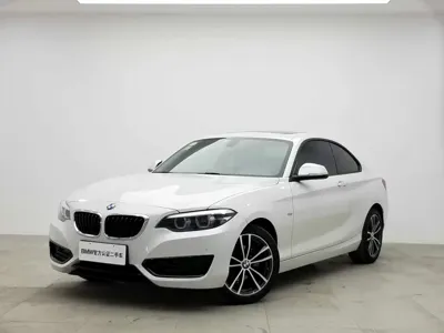 BMW 2 Series (Import) · 2020 год