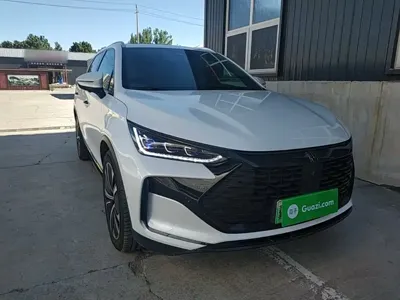 BYD Tang New Energy 2023, 87700 км, за 132800 CNY