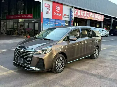 Buick GL8 · 2022 год