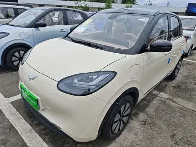 Wuling Bingo · 2026 год