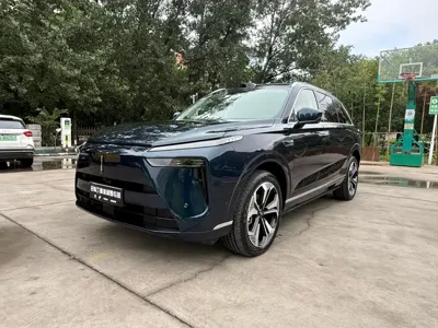 WEY Wey Lanshan · 2024 год