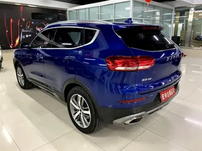 Haval H6 2018, 90000 км, за 31800 CNY - фото 16