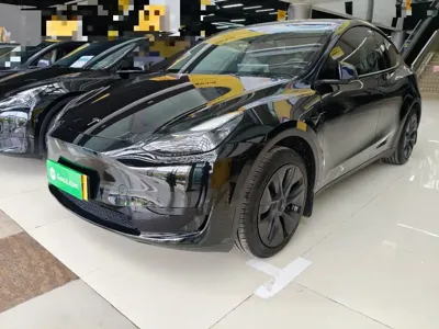 Tesla Model Y · 2024 год