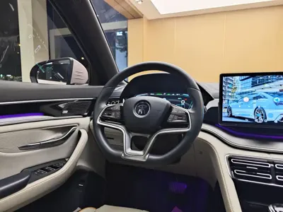 BYD PLUS New Energy 2022, 38800 км, за 65800 CNY - фото 14
