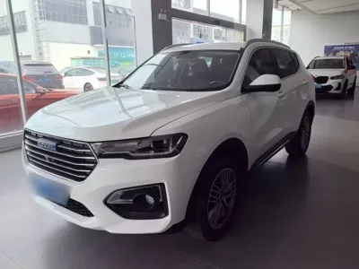 Haval H6 · 2019 год