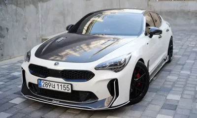 Kia Stinger · 2019 год